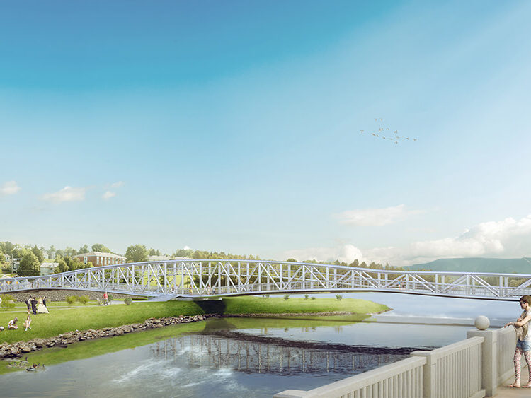 Fish Bridge, Alma, Canada